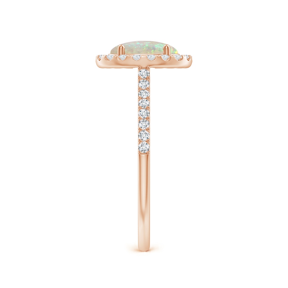 8x6mm AAA Prong-Set Oval Opal Halo Ring with Diamonds in Rose Gold side 299
