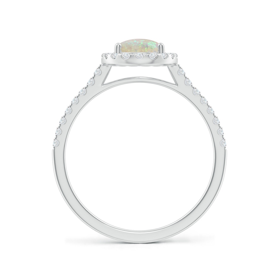 8x6mm AAA Prong-Set Oval Opal Halo Ring with Diamonds in White Gold side 199