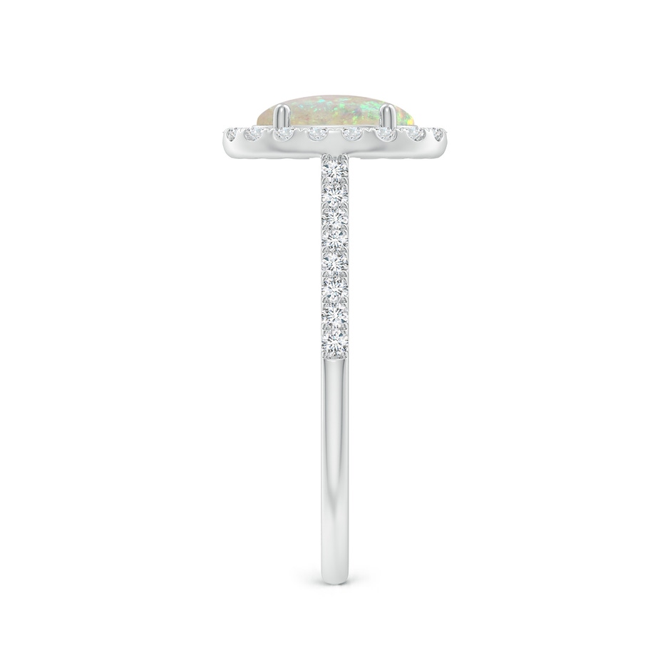 8x6mm AAA Prong-Set Oval Opal Halo Ring with Diamonds in White Gold side 299