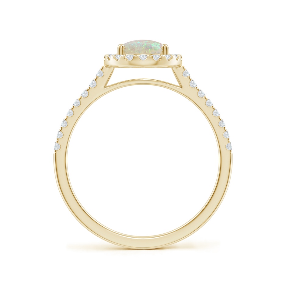 8x6mm AAA Prong-Set Oval Opal Halo Ring with Diamonds in Yellow Gold side 199
