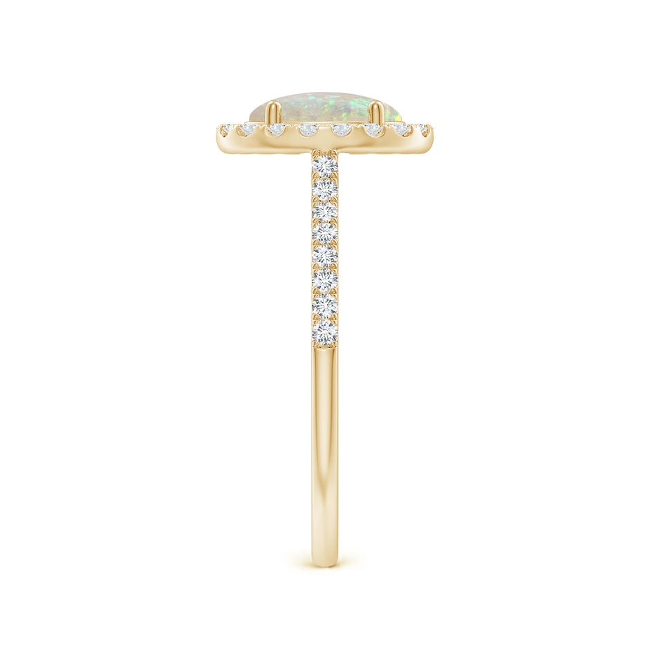 8x6mm AAA Prong-Set Oval Opal Halo Ring with Diamonds in Yellow Gold side 299