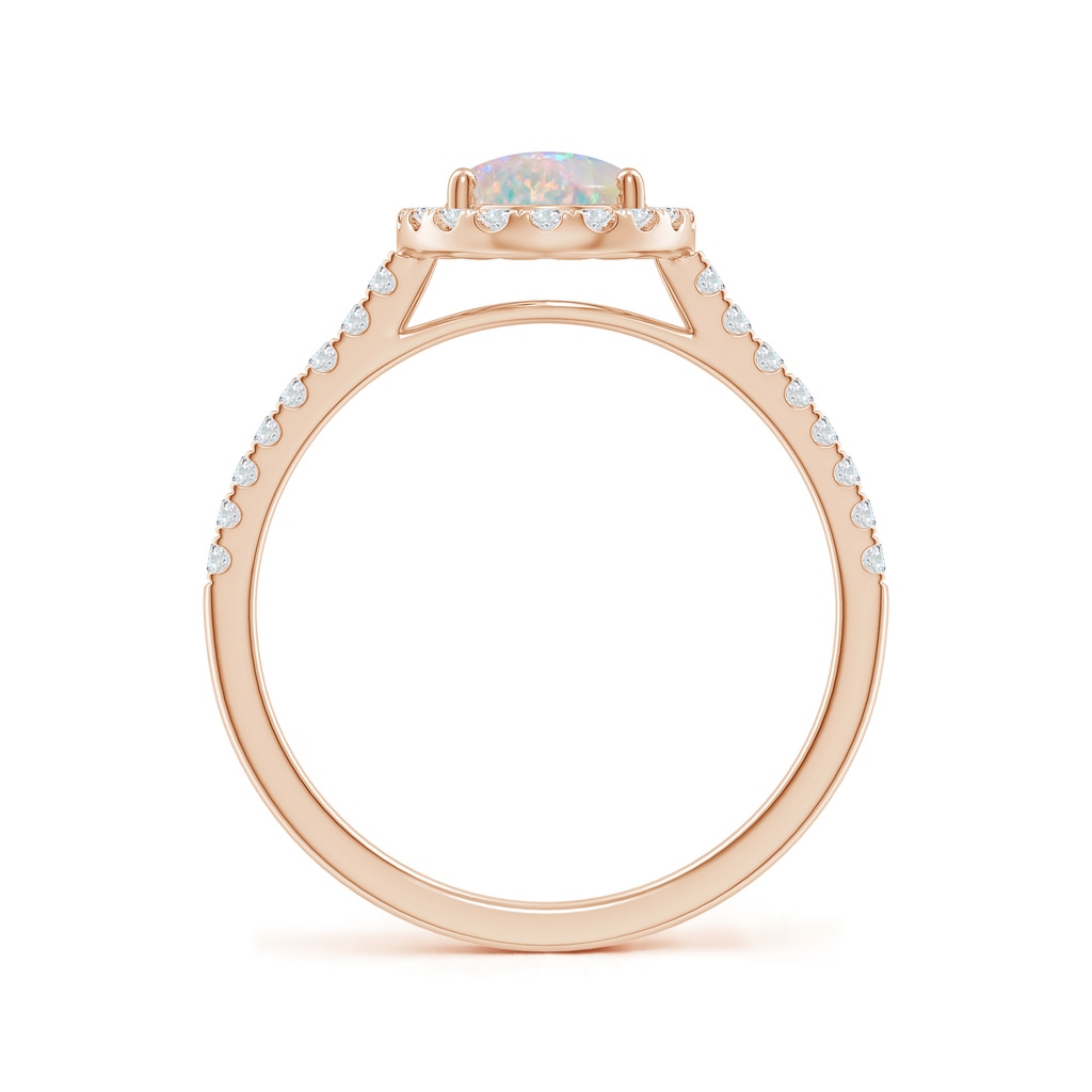 8x6mm AAAA Prong-Set Oval Opal Halo Ring with Diamonds in 9K Rose Gold Side 199