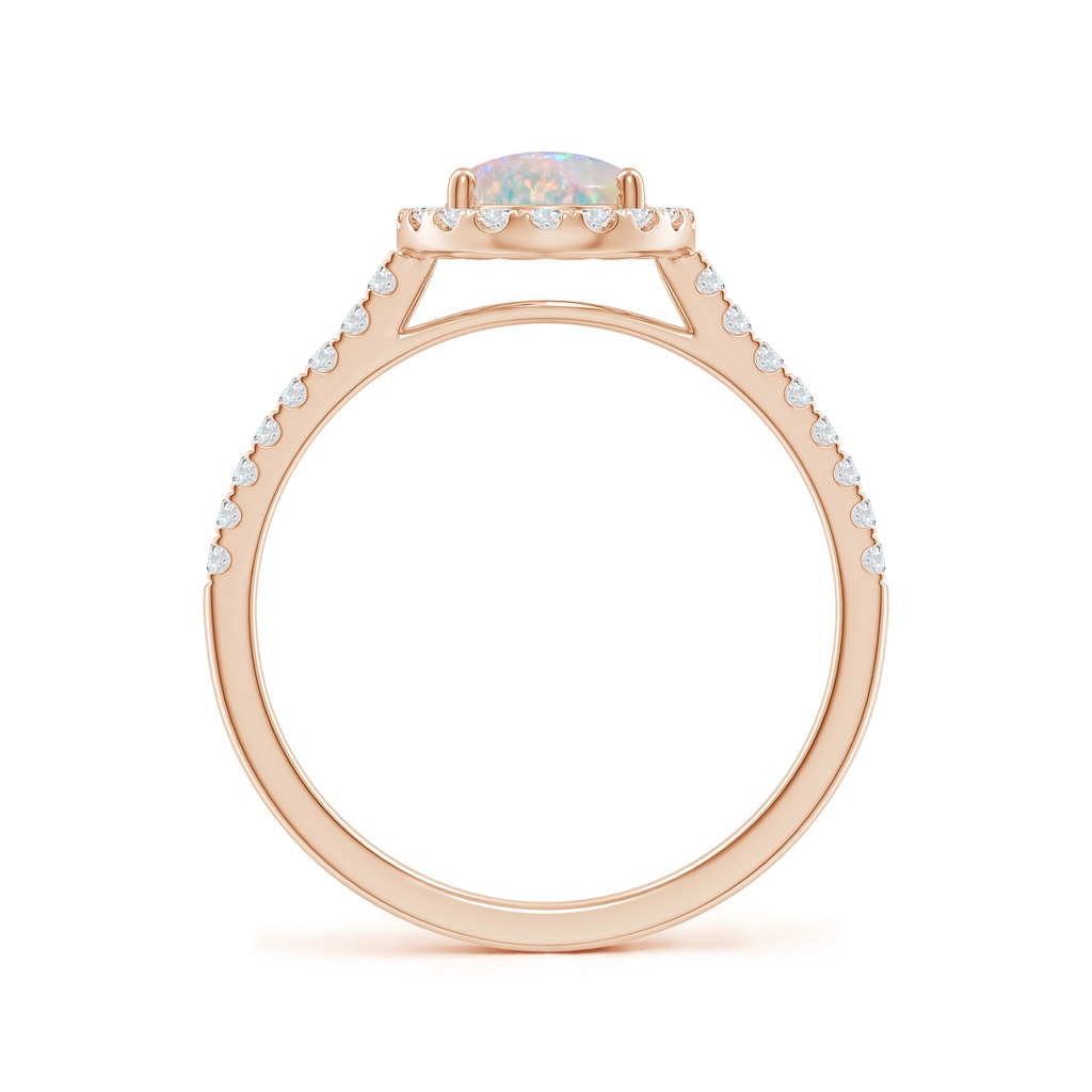 8x6mm AAAA Prong-Set Oval Opal Halo Ring with Diamonds in Rose Gold - side 199