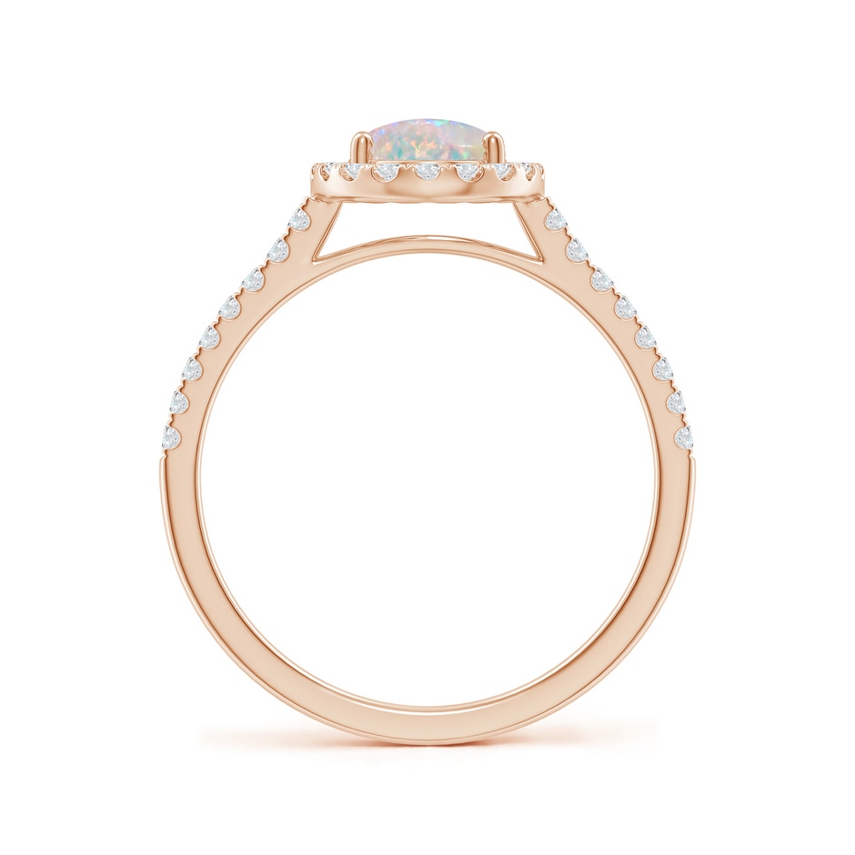 8x6mm AAAA Prong-Set Oval Opal Halo Ring with Diamonds in Rose Gold side 199