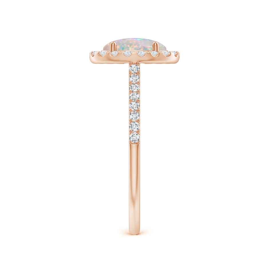 8x6mm AAAA Prong-Set Oval Opal Halo Ring with Diamonds in Rose Gold side 299