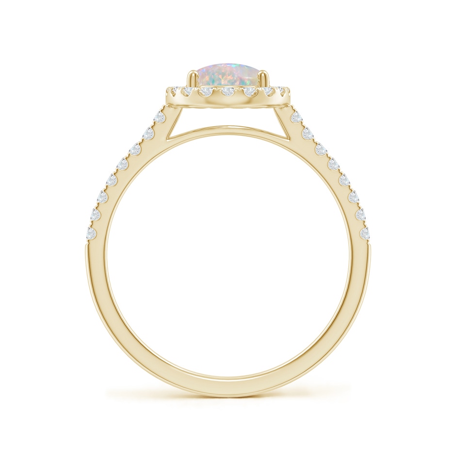 8x6mm AAAA Prong-Set Oval Opal Halo Ring with Diamonds in Yellow Gold side 199