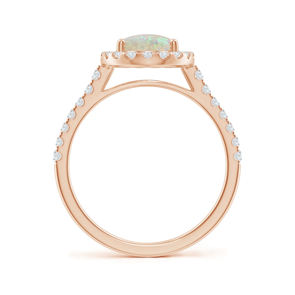 9x7mm AAA Prong-Set Oval Opal Halo Ring with Diamonds in Rose Gold side 199