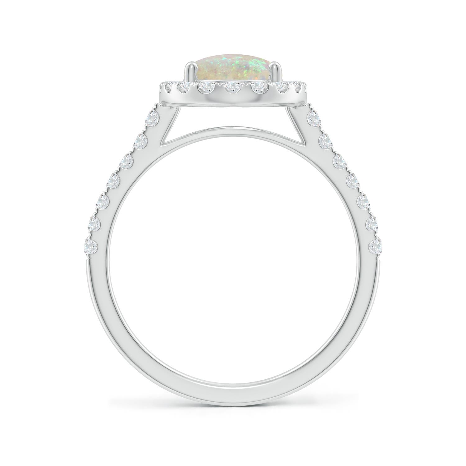 AAA - Opal / 1.55 CT / 14 KT White Gold