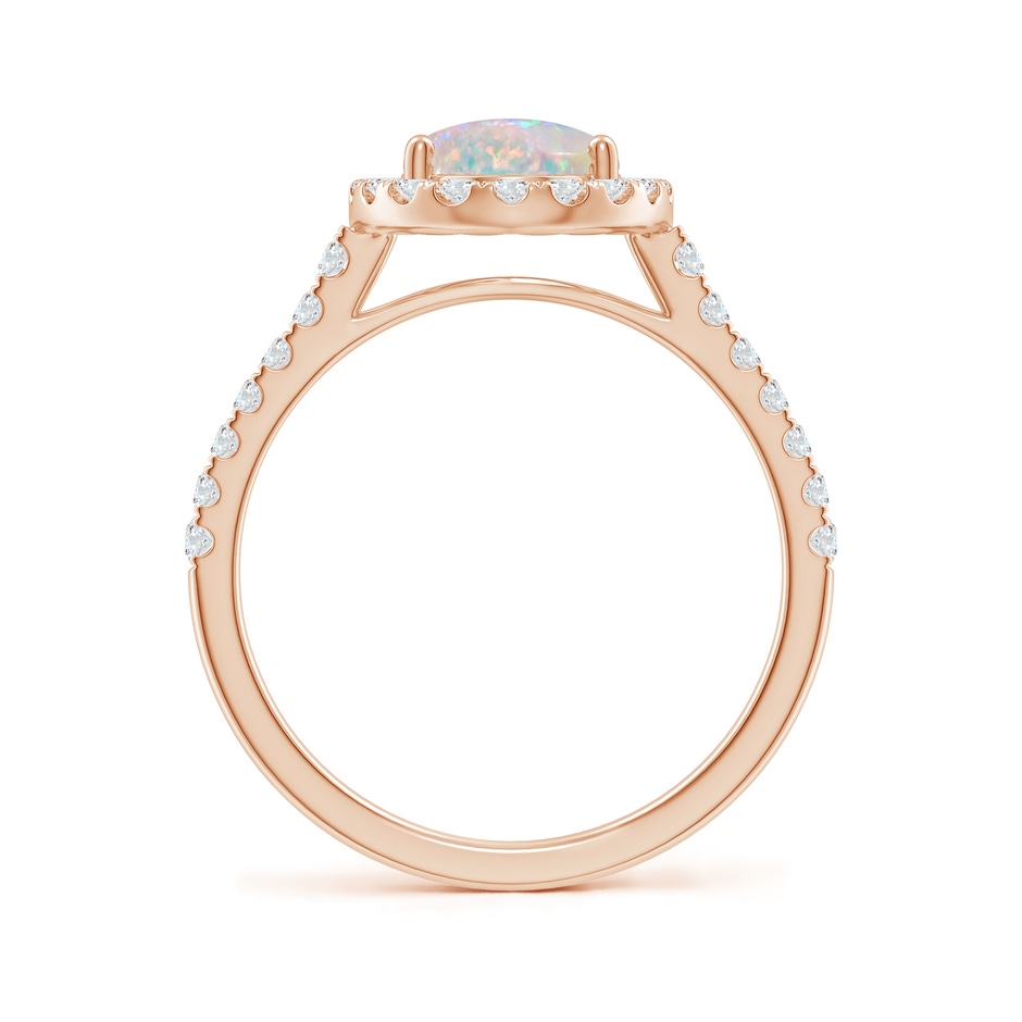 9x7mm AAAA Prong-Set Oval Opal Halo Ring with Diamonds in Rose Gold side 199