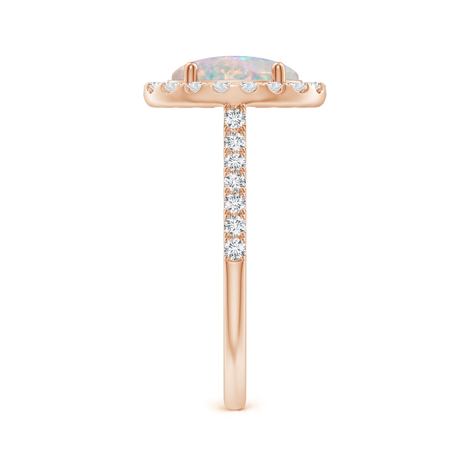9x7mm AAAA Prong-Set Oval Opal Halo Ring with Diamonds in Rose Gold side 299
