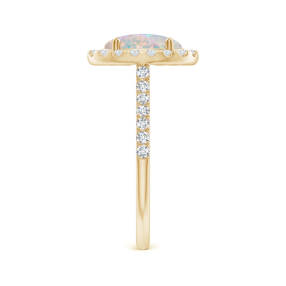 9x7mm AAAA Prong-Set Oval Opal Halo Ring with Diamonds in Yellow Gold side 299