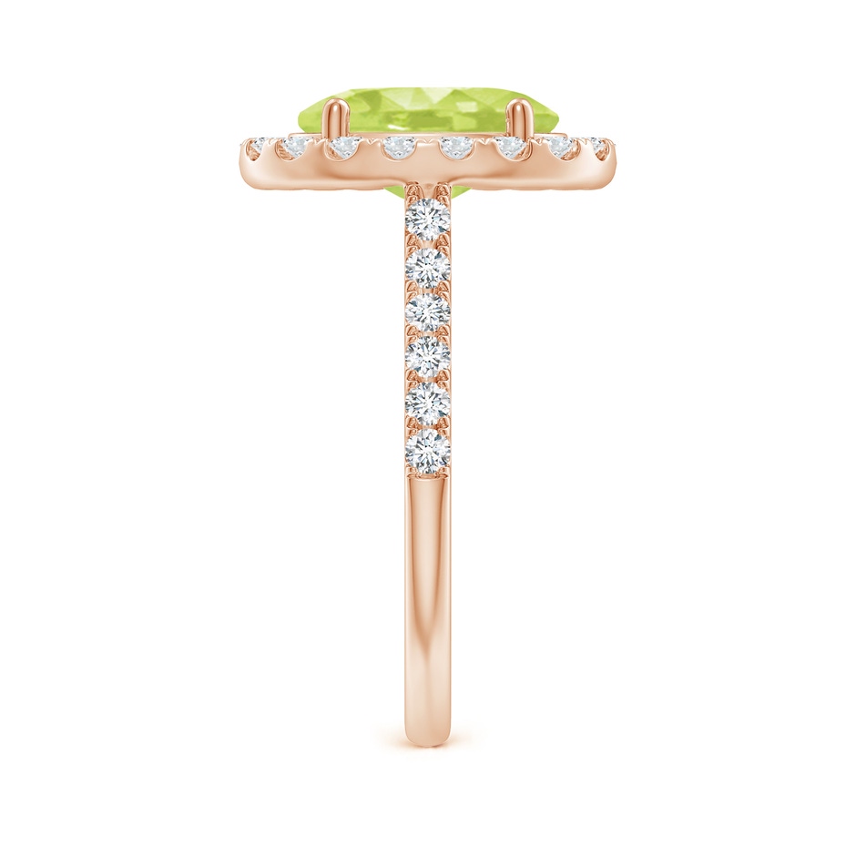 10x8mm A Double Claw-Set Oval Peridot Halo Ring with Diamonds in 18K Rose Gold side 299