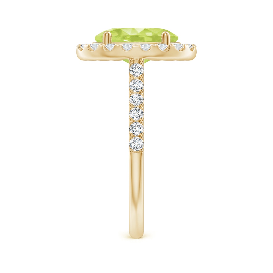 10x8mm A Double Claw-Set Oval Peridot Halo Ring with Diamonds in 18K Yellow Gold side 299
