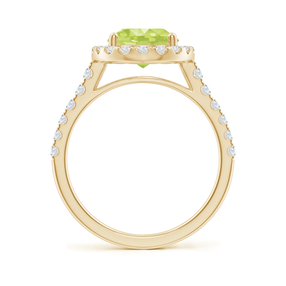 10x8mm A Double Claw-Set Oval Peridot Halo Ring with Diamonds in Yellow Gold side 199