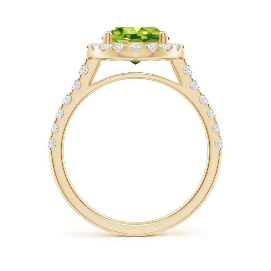 10x8mm AAA Double Claw-Set Oval Peridot Halo Ring with Diamonds in 18K Yellow Gold side 199