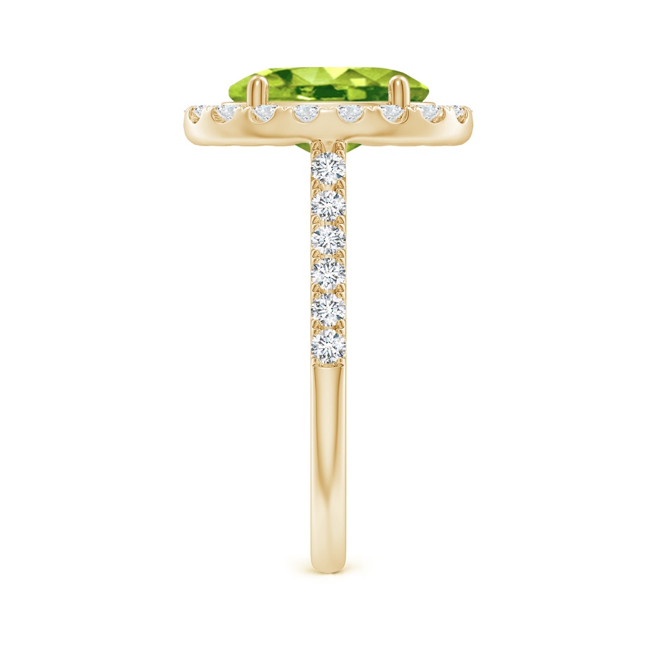 10x8mm AAA Double Claw-Set Oval Peridot Halo Ring with Diamonds in 18K Yellow Gold side 299