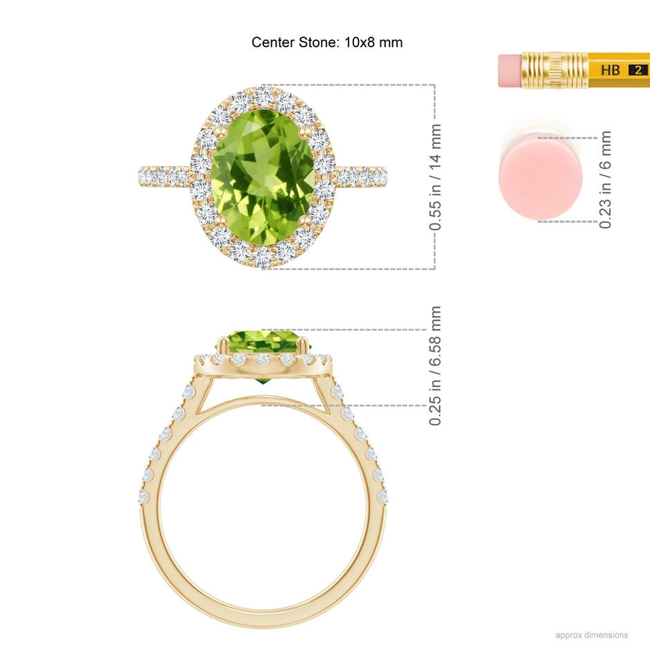 10x8mm AAA Double Claw-Set Oval Peridot Halo Ring with Diamonds in 18K Yellow Gold ruler