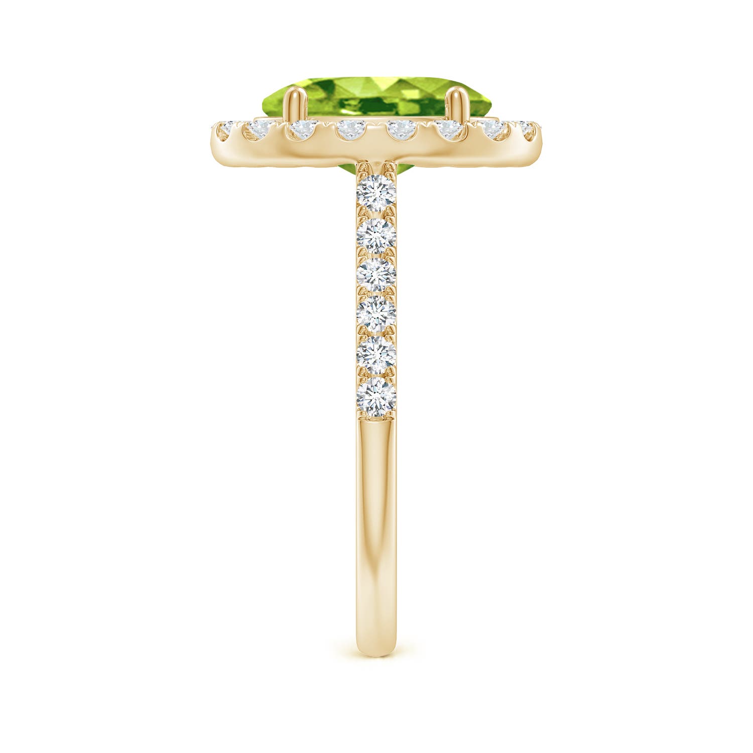 AAA - Peridot / 3.23 CT / 14 KT Yellow Gold