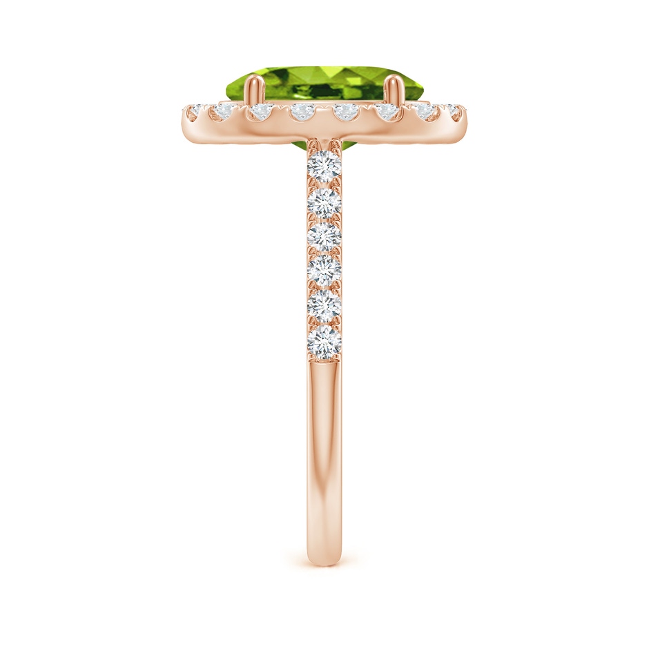 10x8mm AAAA Double Claw-Set Oval Peridot Halo Ring with Diamonds in 18K Rose Gold side 299