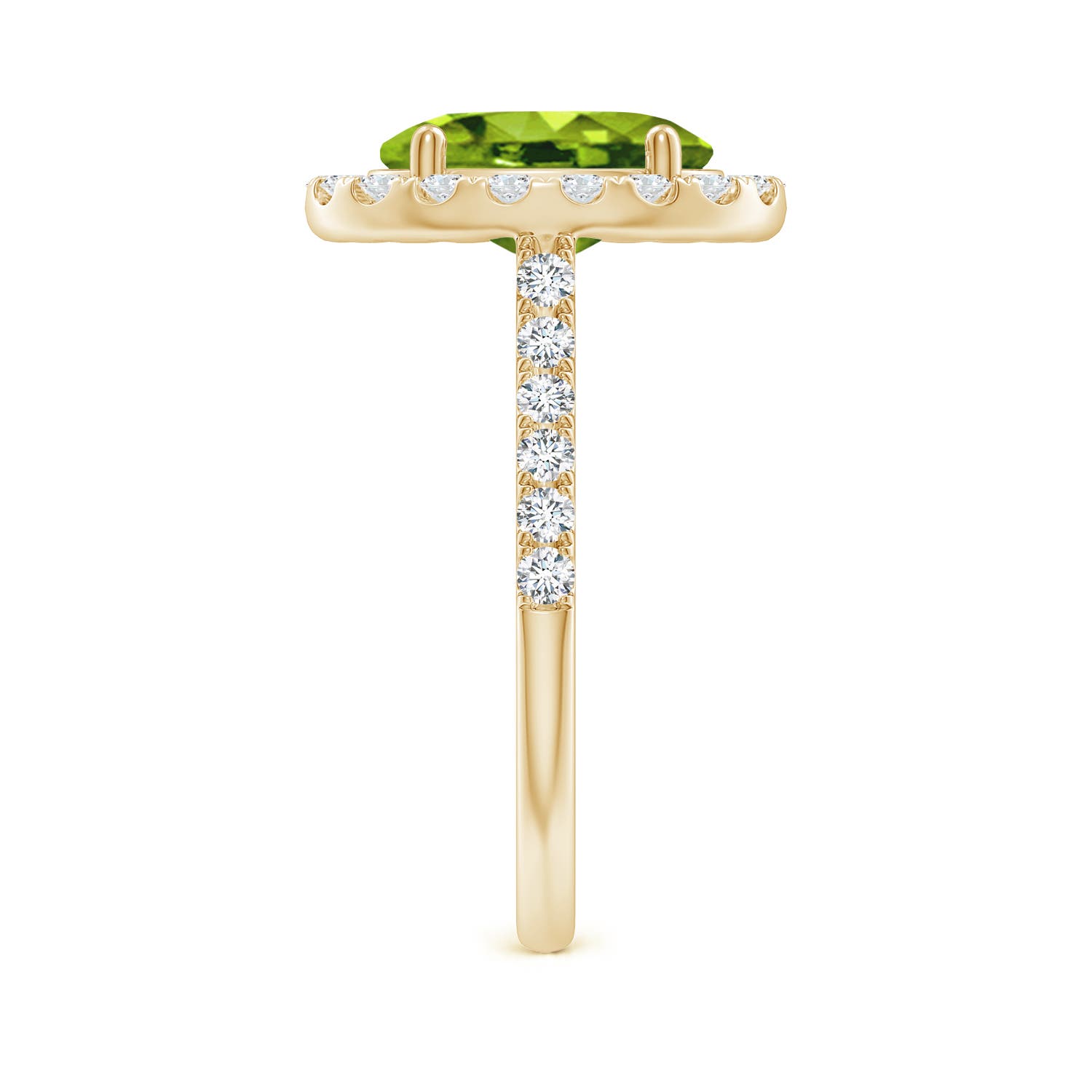 AAAA - Peridot / 3.23 CT / 14 KT Yellow Gold