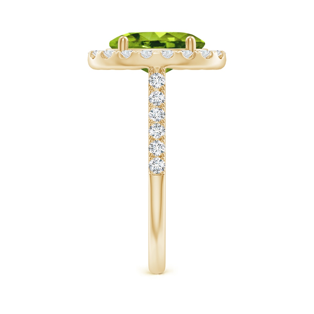 10x8mm AAAA Double Claw-Set Oval Peridot Halo Ring with Diamonds in Yellow Gold Side-2