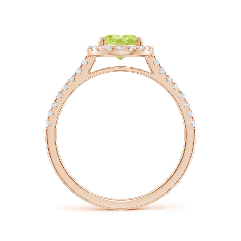 8x6mm A Double Claw-Set Oval Peridot Halo Ring with Diamonds in Rose Gold side 199