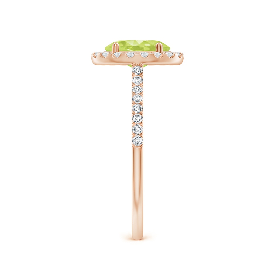 8x6mm A Double Claw-Set Oval Peridot Halo Ring with Diamonds in Rose Gold side 299