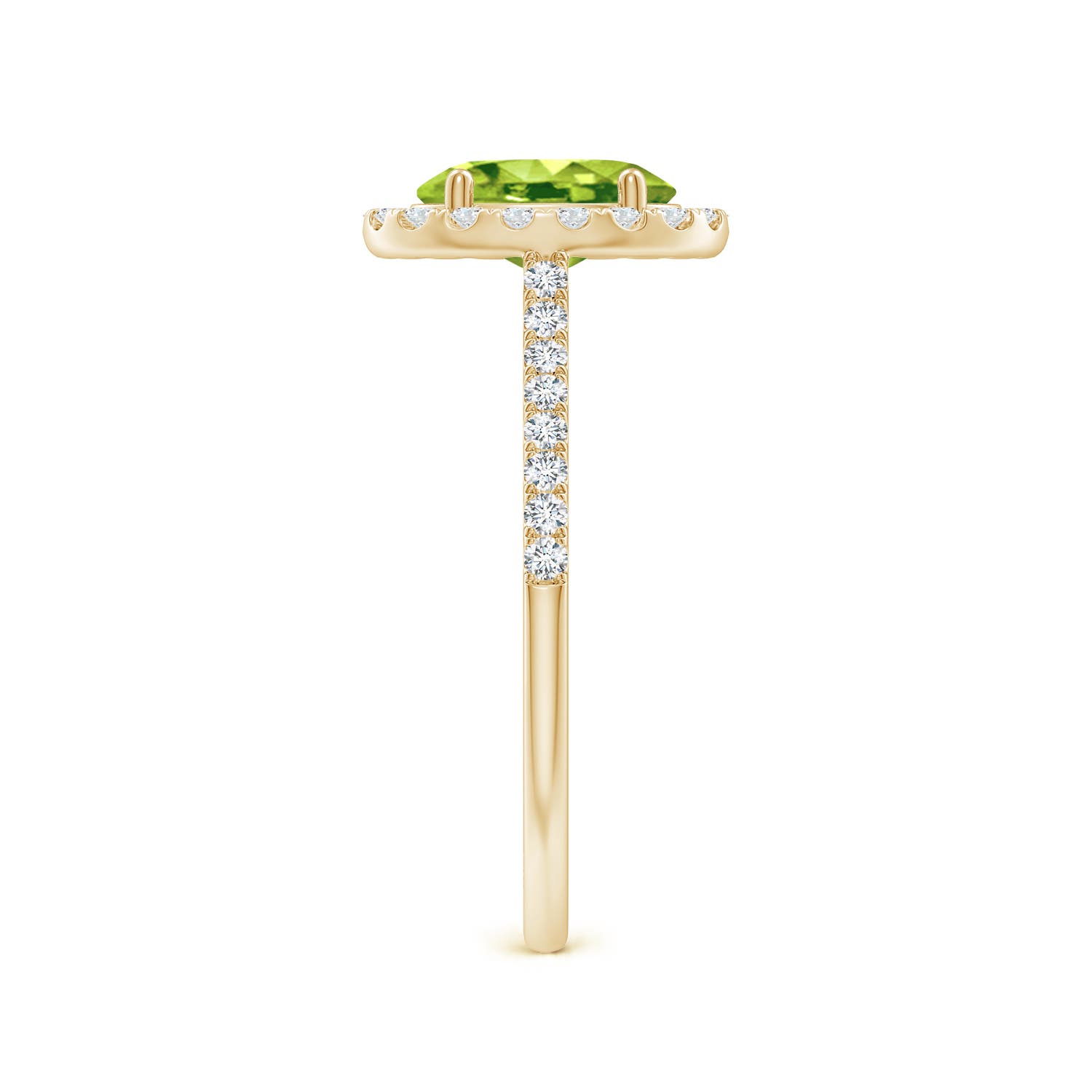 AAA - Peridot / 1.69 CT / 14 KT Yellow Gold