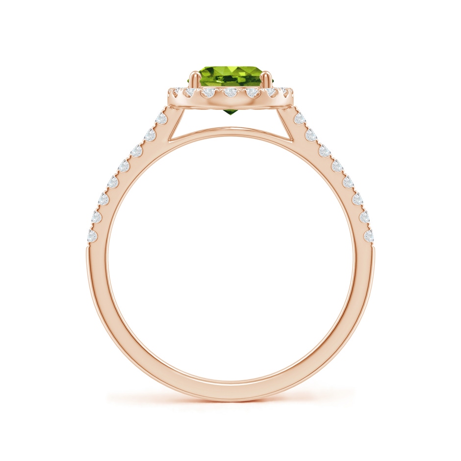 8x6mm AAAA Double Claw-Set Oval Peridot Halo Ring with Diamonds in Rose Gold side 199