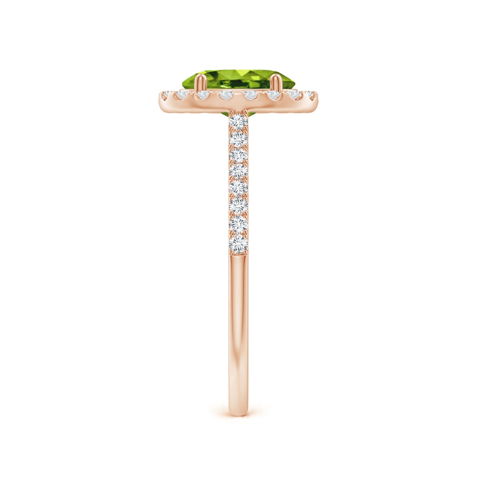 8x6mm AAAA Double Claw-Set Oval Peridot Halo Ring with Diamonds in Rose Gold side 299