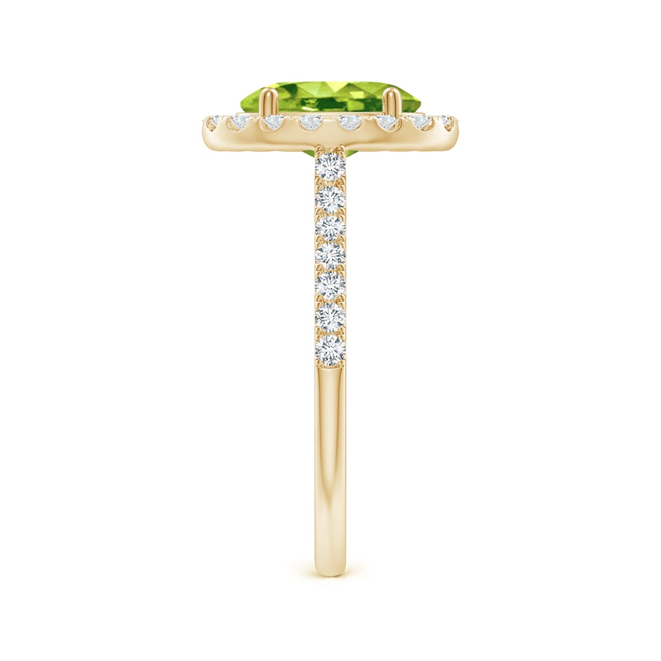 9x7mm AAA Double Claw-Set Oval Peridot Halo Ring with Diamonds in Yellow Gold side 299