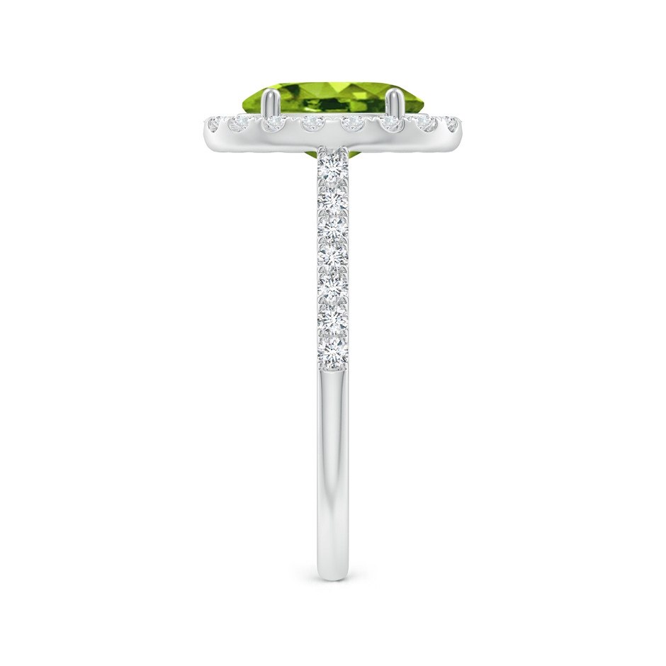 9x7mm AAAA Double Claw-Set Oval Peridot Halo Ring with Diamonds in P950 Platinum side 299