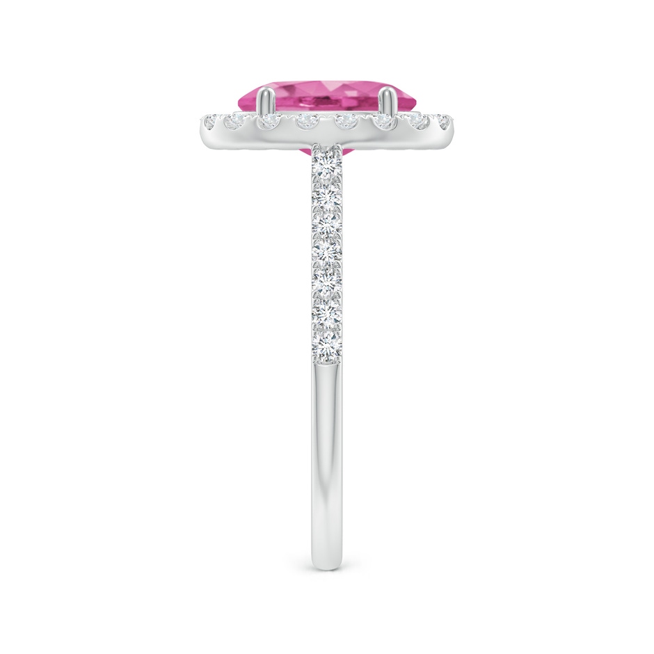 9x7mm AAA Double Claw-Set Oval Pink Sapphire Halo Ring with Diamonds in P950 Platinum side-2