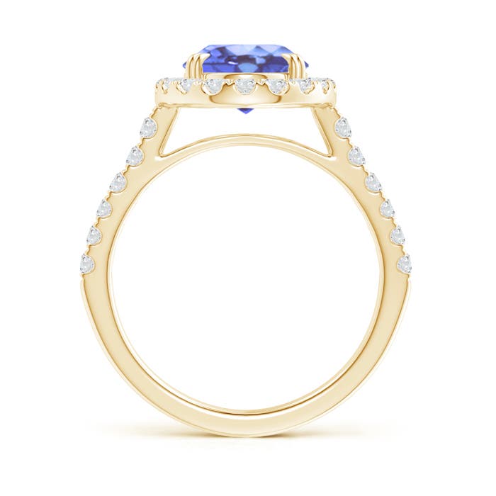 A - Tanzanite / 3.53 CT / 14 KT Yellow Gold