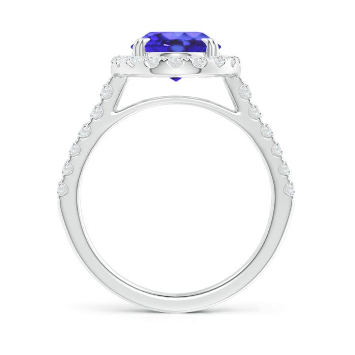 AA - Tanzanite / 3.53 CT / 14 KT White Gold