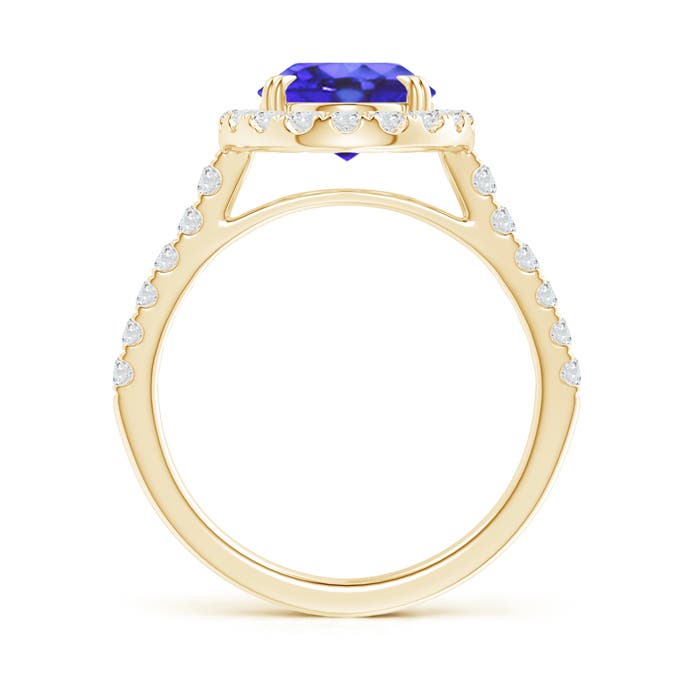 AA - Tanzanite / 3.53 CT / 14 KT Yellow Gold