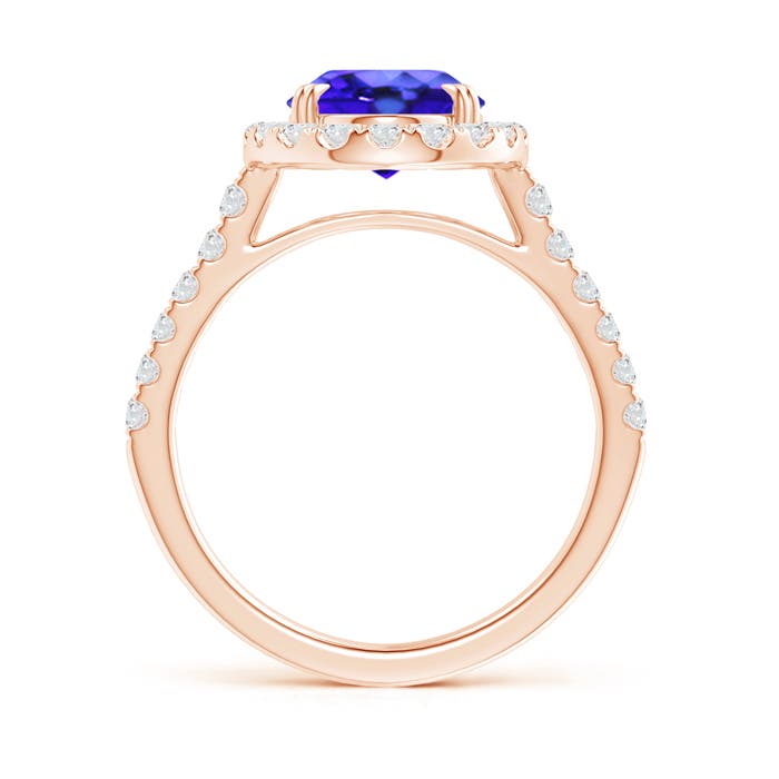 AAA - Tanzanite / 3.53 CT / 14 KT Rose Gold