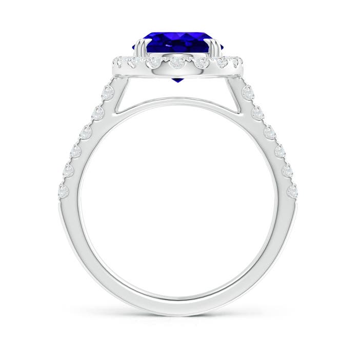 AAAA - Tanzanite / 3.53 CT / 14 KT White Gold