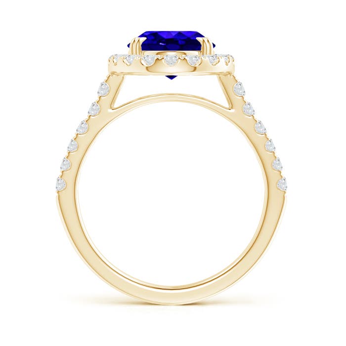 AAAA - Tanzanite / 3.53 CT / 14 KT Yellow Gold