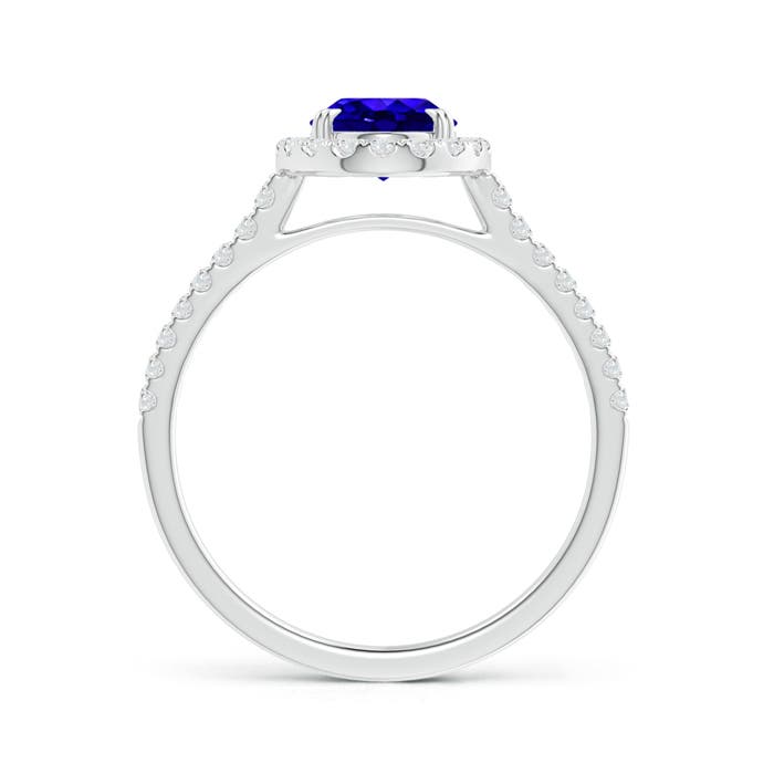 AAAA - Tanzanite / 1.59 CT / 14 KT White Gold