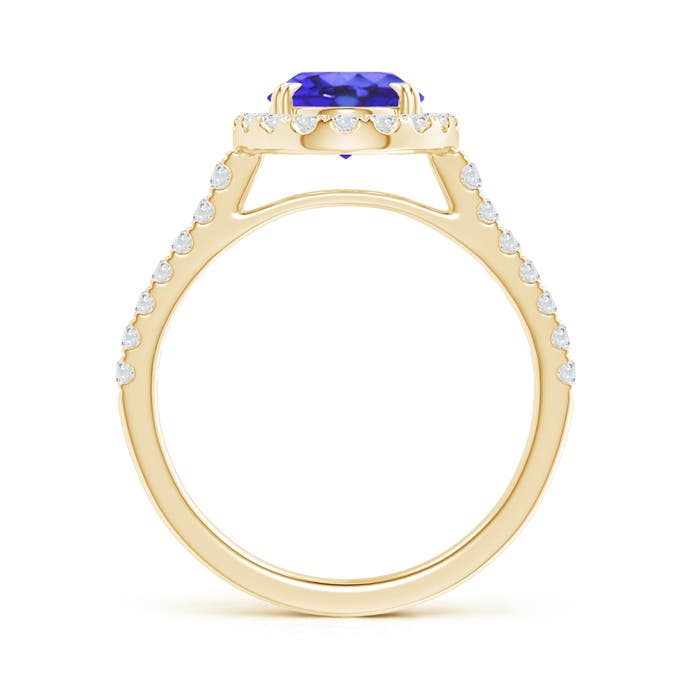 AA - Tanzanite / 2.35 CT / 14 KT Yellow Gold