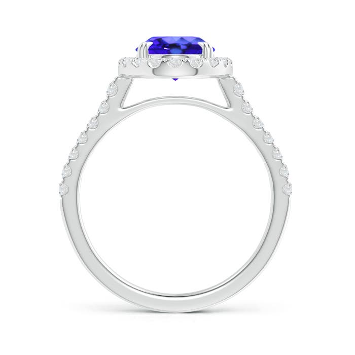 AAA - Tanzanite / 2.35 CT / 14 KT White Gold