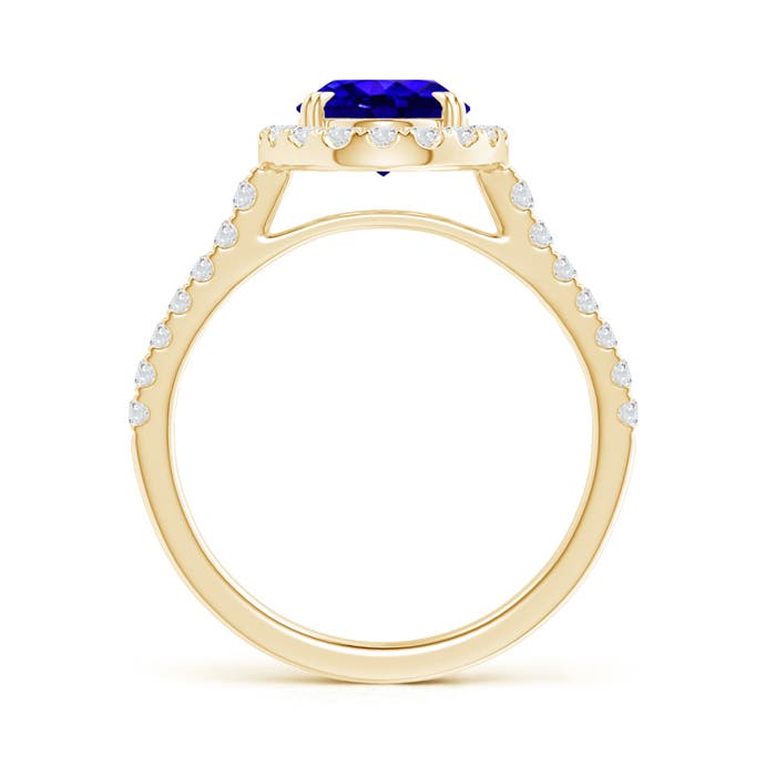 AAAA - Tanzanite / 2.35 CT / 14 KT Yellow Gold