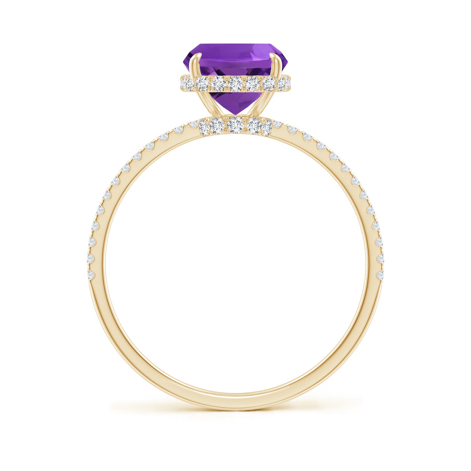 AAAA - Amethyst / 2.35 CT / 14 KT Yellow Gold