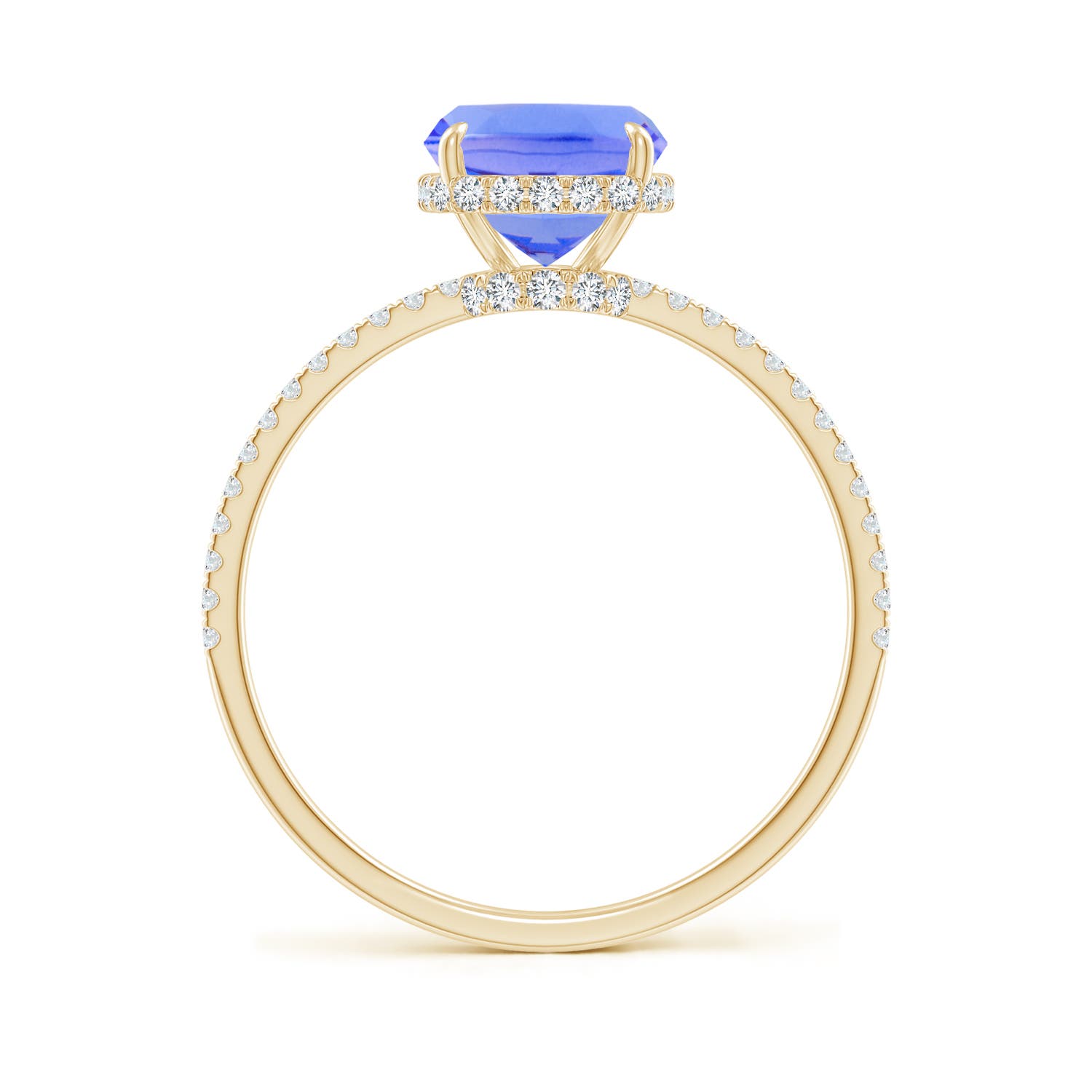 AA - Tanzanite / 2.8 CT / 14 KT Yellow Gold