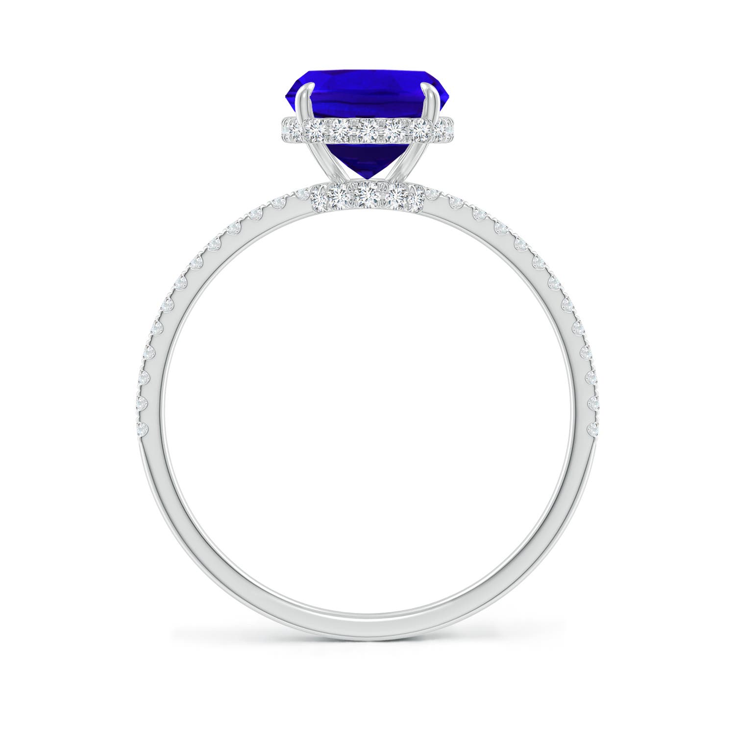 AAAA - Tanzanite / 2.8 CT / 14 KT White Gold