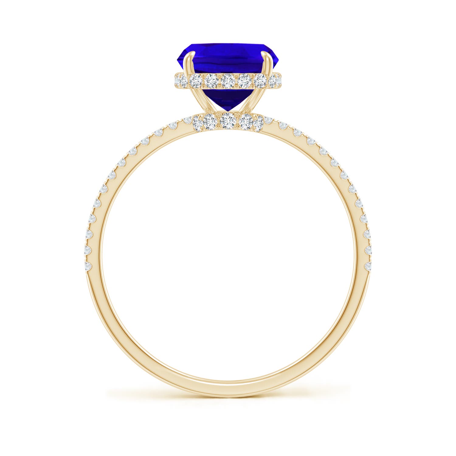 AAAA - Tanzanite / 2.8 CT / 14 KT Yellow Gold