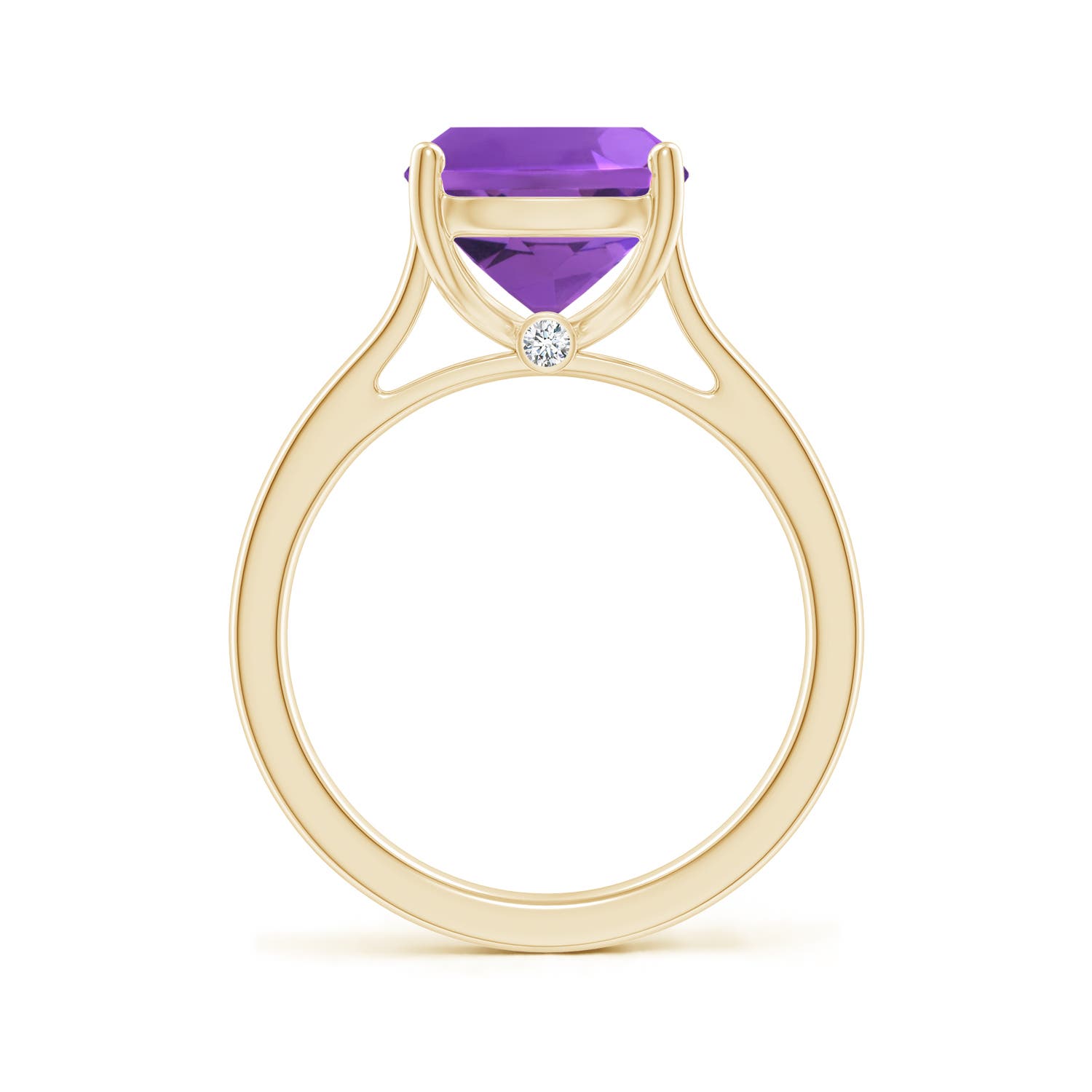 AAA - Amethyst / 3.53 CT / 14 KT Yellow Gold