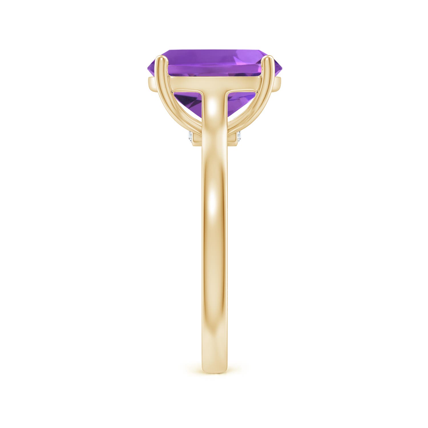 AAA - Amethyst / 3.53 CT / 14 KT Yellow Gold