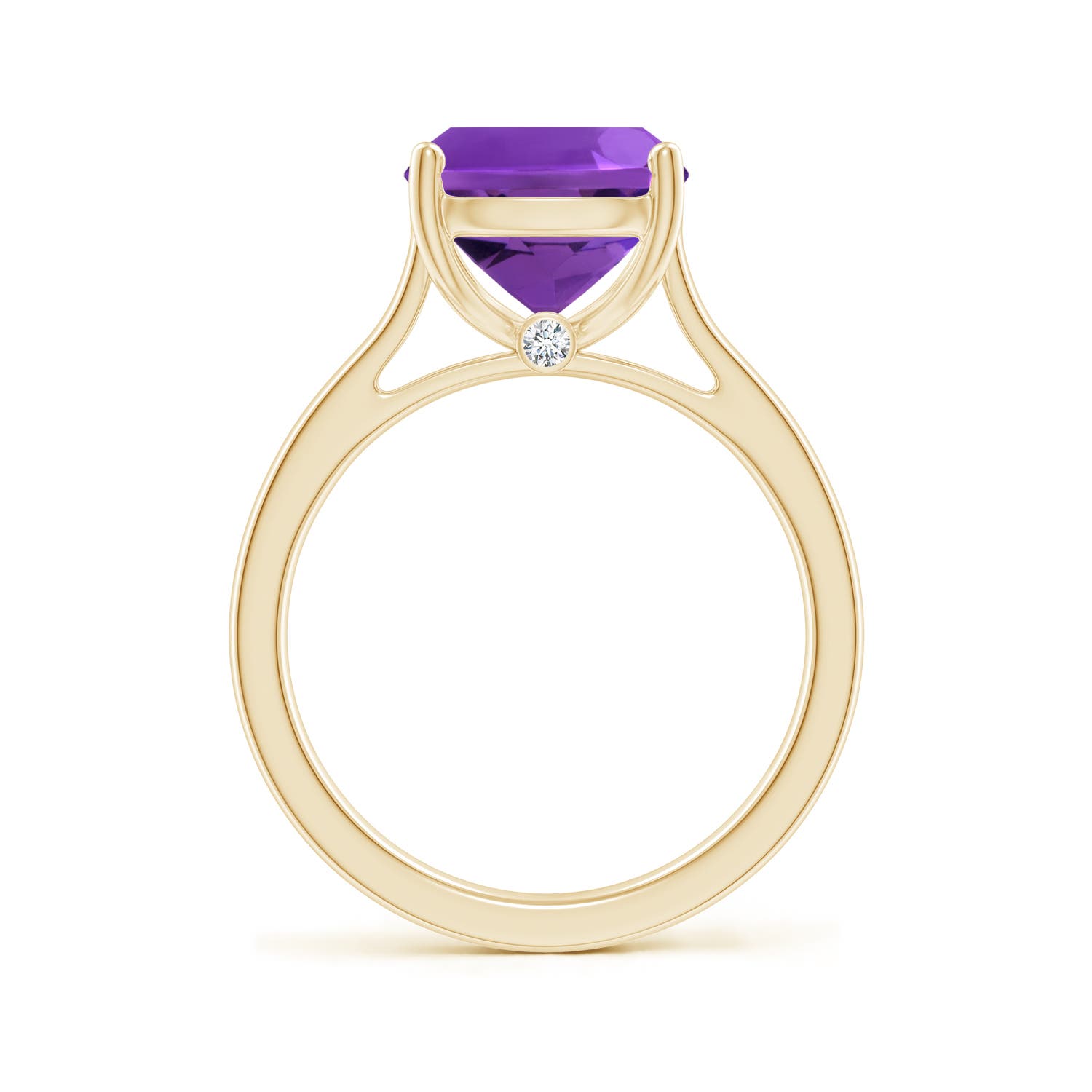 AAAA - Amethyst / 3.53 CT / 14 KT Yellow Gold